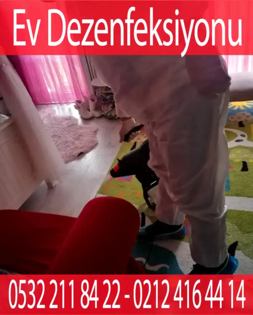 Ev virüs dezenfekte